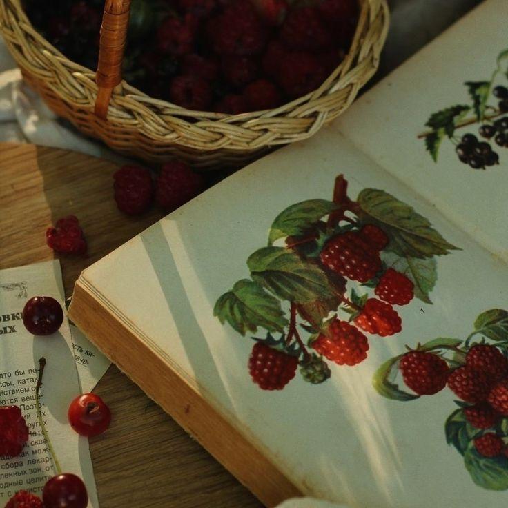 Nature's Berry Medley: Vibrant Farm Fresh Treasures
